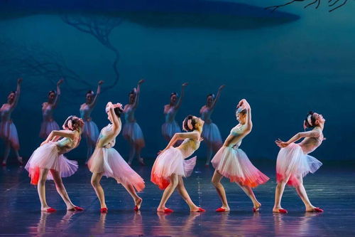 大年初一，舞劇《朱鹮》杭州站唯美鉅獻(xiàn)，開(kāi)啟新春文藝盛宴